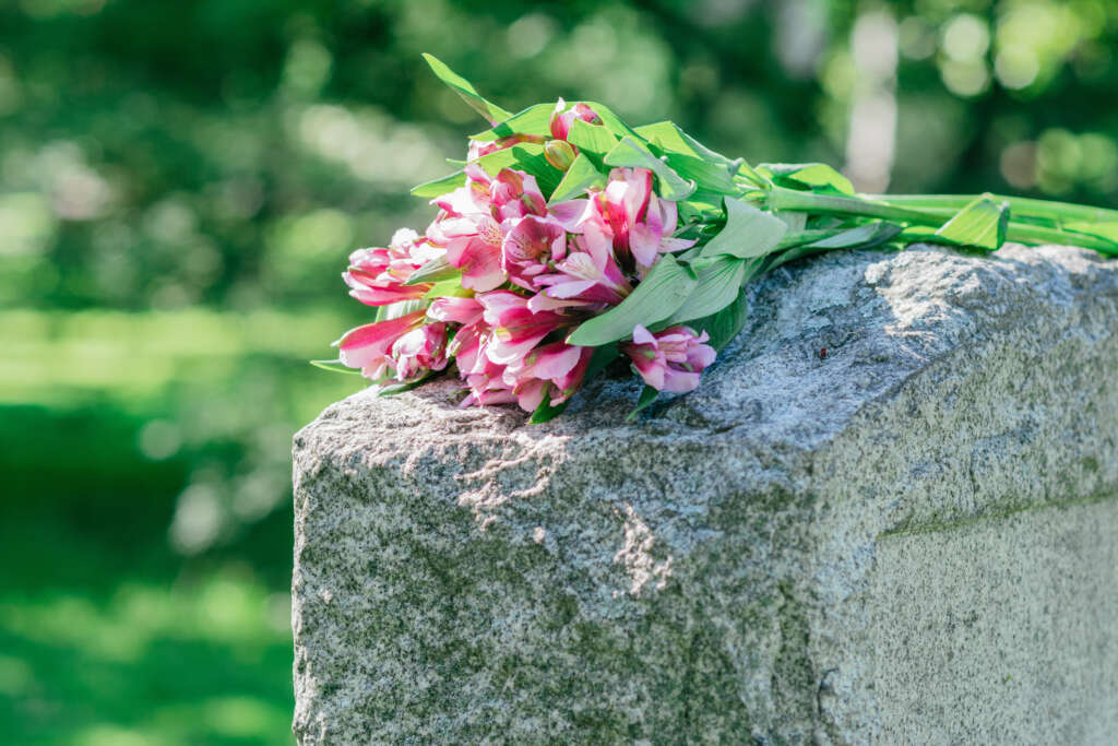 Pink Flowers Atop a Headstone in a Cemetery
